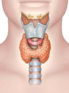 Thyroid Nodule in Singapore